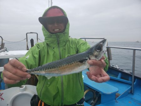 丸万釣船 釣果