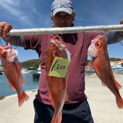 ぽん助丸 釣果