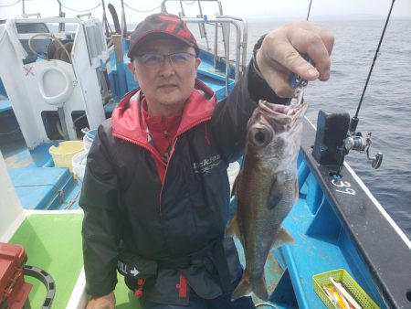 丸万釣船 釣果