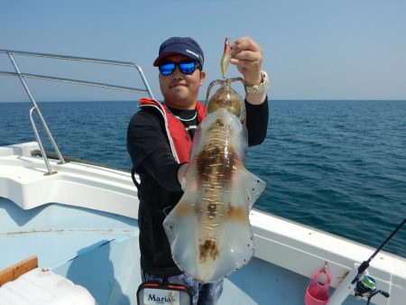 きずなまりん 釣果