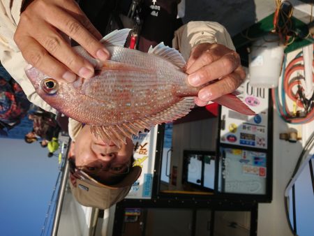 ありもと丸 釣果