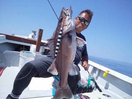 ひな丸 釣果