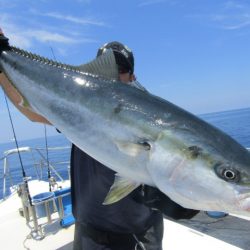 ジギング船 BLUEWATER 釣果