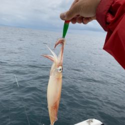 友人とマイボートで五目釣り