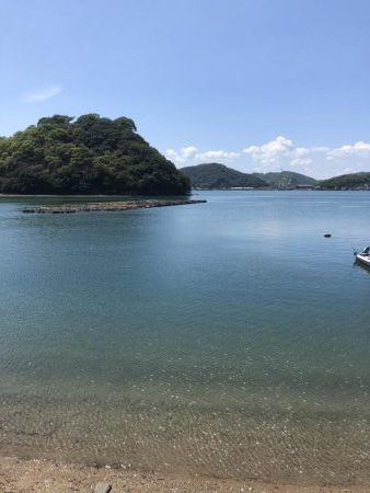 キス入れ食い