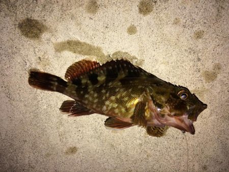 雨の止み間に