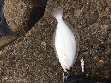 雨の止み間に