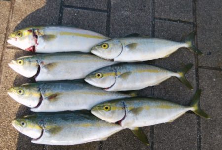 厳戒態勢の中でツバス釣り