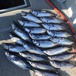 へいみつ丸 釣果