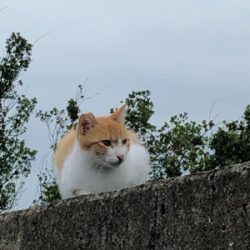 雨上がりの短時間釣行