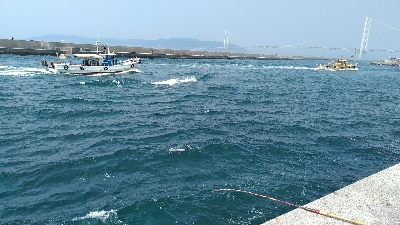 隣の釣り人がコブダイを