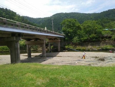 上桂川で若鮎釣り