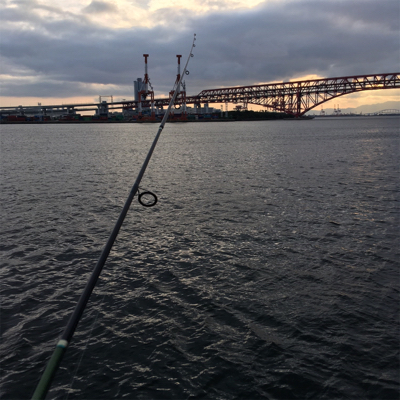 イケア裏鶴浜緑地でツバス