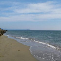 キス釣り釣行　由良川河口（左岸）