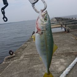 爆風、濁り、釣れまくり