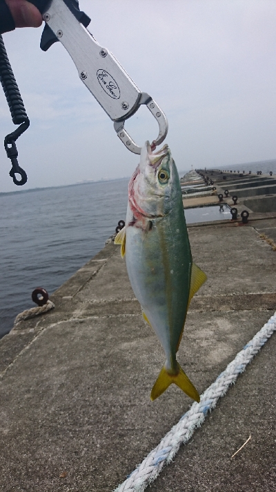 爆風、濁り、釣れまくり