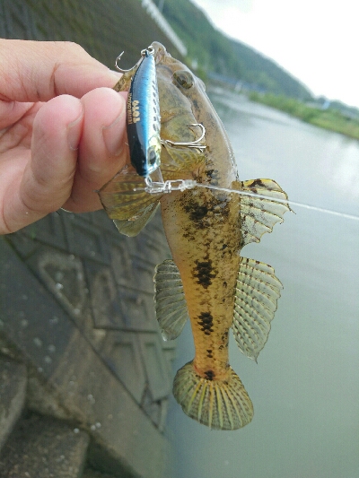 雨の合間に