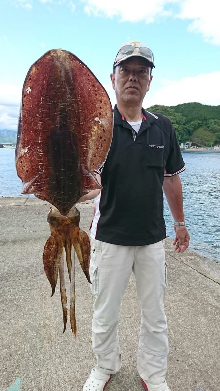 筏マルキ 釣果