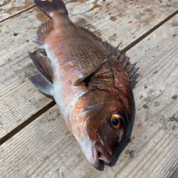 釣堀紀州にて