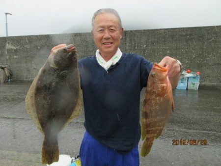 大進丸（新潟） 釣果