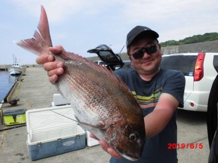 大進丸（新潟） 釣果