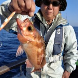 鯛紅丸 釣果