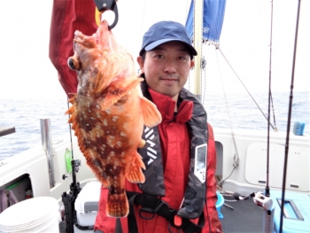 鯛紅丸 釣果