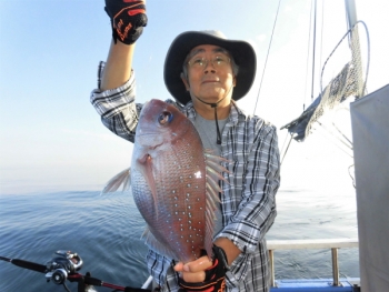 鯛紅丸 釣果