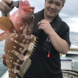 釣船 浦島太郎 釣果