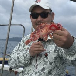 釣船 浦島太郎 釣果