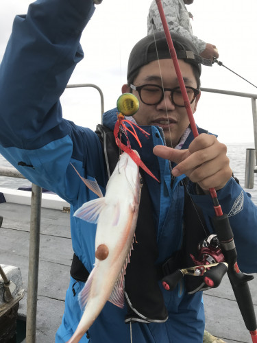 釣船 浦島太郎 釣果