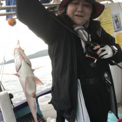 釣船 浦島太郎 釣果