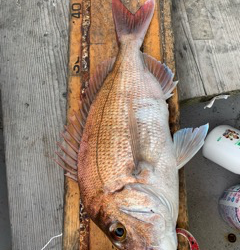 幸吉丸 釣果