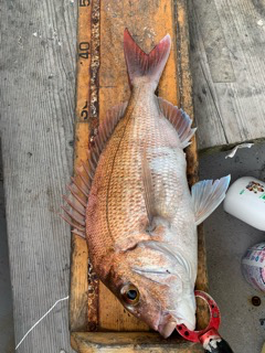 幸吉丸 釣果