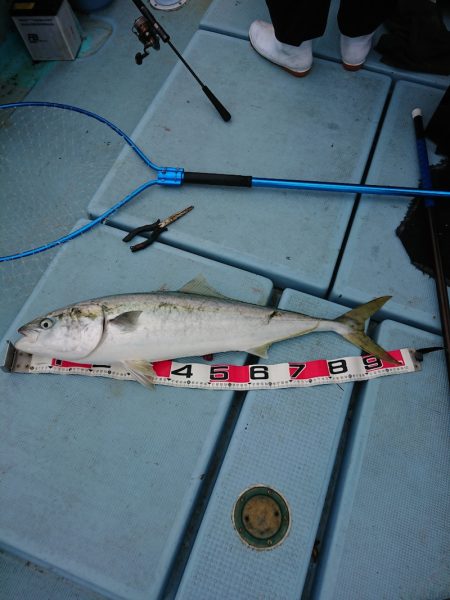 清和丸 釣果