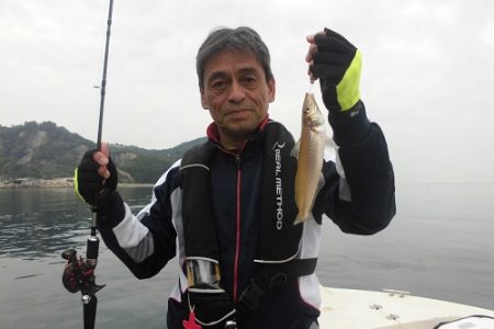 ルアー船マヒマヒ 釣果