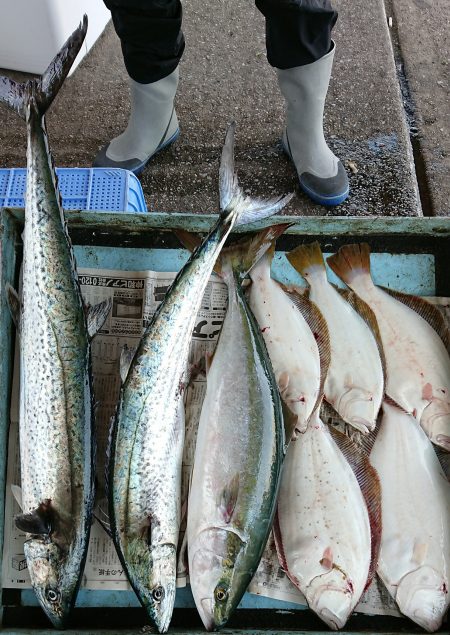 明神釣船 釣果