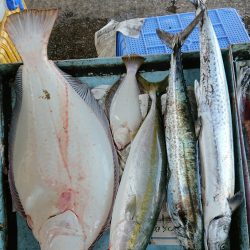 明神釣船 釣果