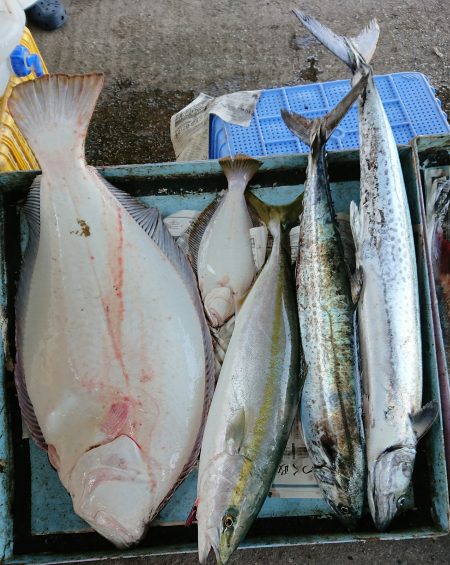 明神釣船 釣果