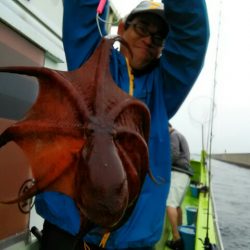 横内丸 釣果