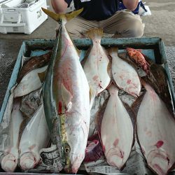 明神釣船 釣果