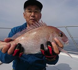 海龍丸（福岡） 釣果