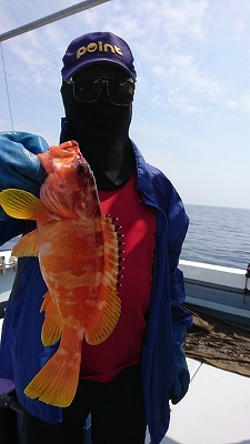 海龍丸（福岡） 釣果