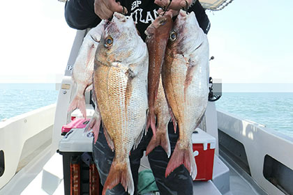 松本釣船２ 釣果