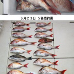 来温丸（らいおんまる） 釣果