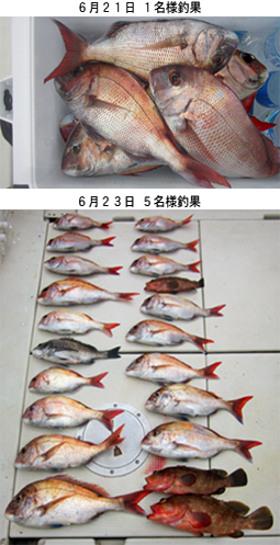 来温丸（らいおんまる） 釣果