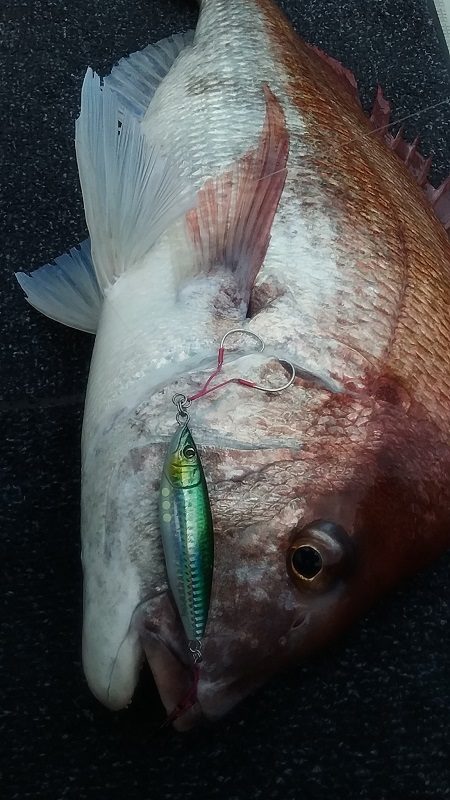 星隆丸 釣果