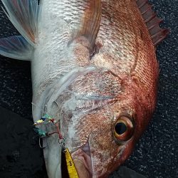 星隆丸 釣果