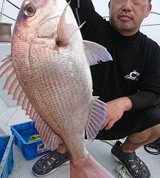 海龍丸（福岡） 釣果