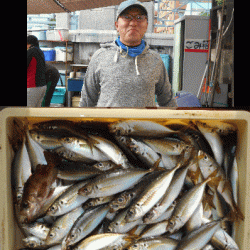 荒川屋 釣果